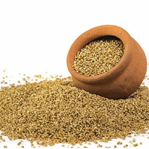 Organic Barnyard Millet
