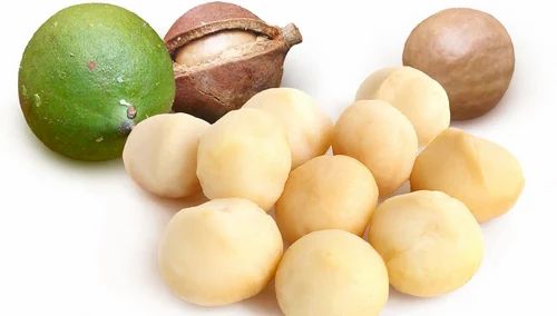 High Quality Macadamia Nuts