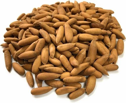 Shell Pine Nut Dry Fruits, Packaging Size: 20 kg