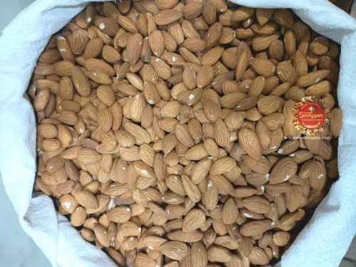 Single Touch Almond Wholesale