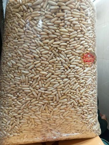 Superior Quality Fresh Pine Nuts Chilgoza