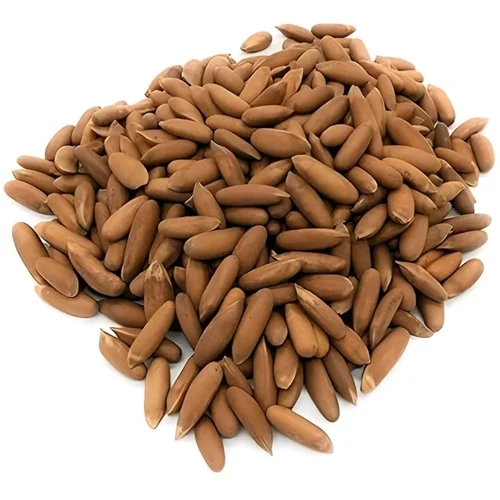 Premium Pine Nut