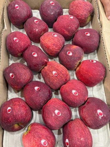 Apples,Fresh Apples,Organic Apples