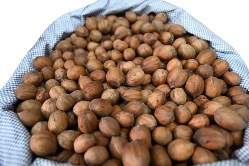 Loose Pahadi Pecan Nut,Oraganic Pecannuts,Pecans With Shell