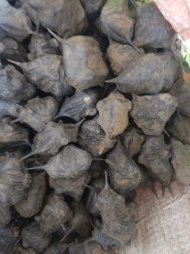 Raw Water Chestnut