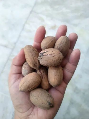 Pecan Nuts Dry Fruits
