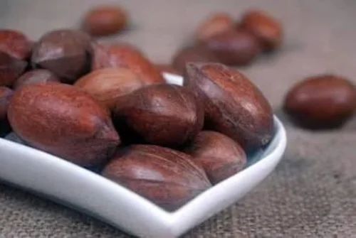 Pecan Nut In Shell