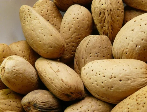 Kashmiri Kagzi Almond