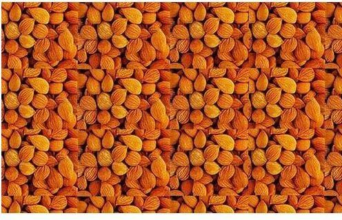 Bitter Apricot Kernel Bitter Apricot Kernel