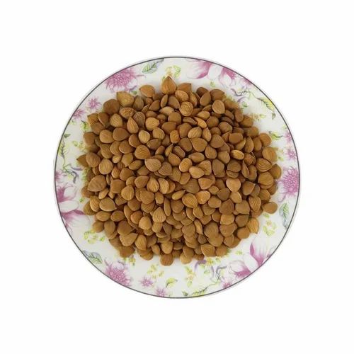 Organic Apricot Kernels