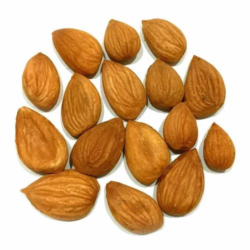 Raw Bitter Apricot Kernel (Whole, Natural)