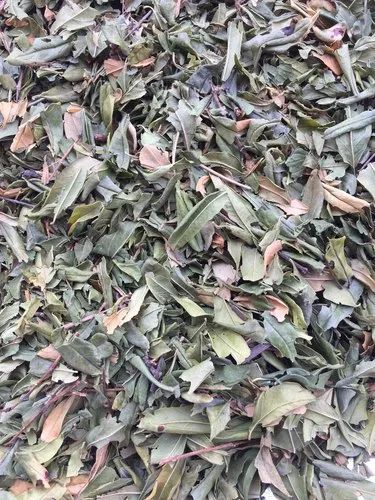 Green Dry Dried Pomegranate Leaves, Packaging Type: Loose