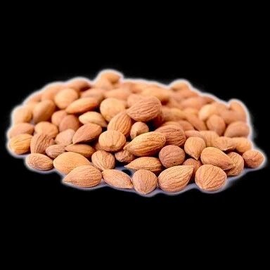 Apricot Kernel, Packing Size: 25 Kg Bag