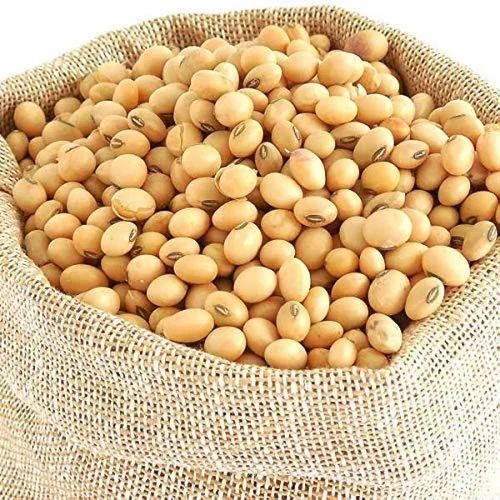 Soy Nuts, Packaging Size: Loose