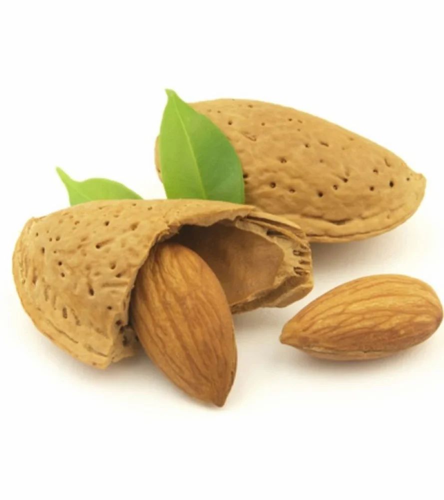 Australian Almond Nuts