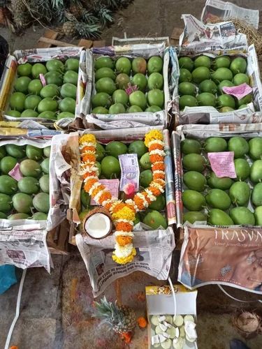 Alphonso Mango