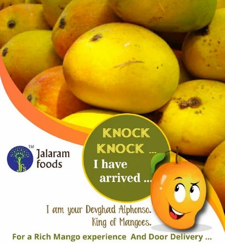 Devgad Alphonso Mango