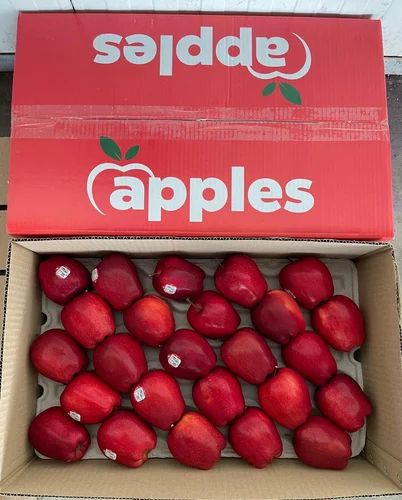 Washington Red Delicious Apples