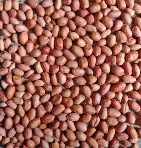 Bold Groundnut Kernels