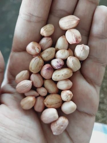 Raw Red Peanut