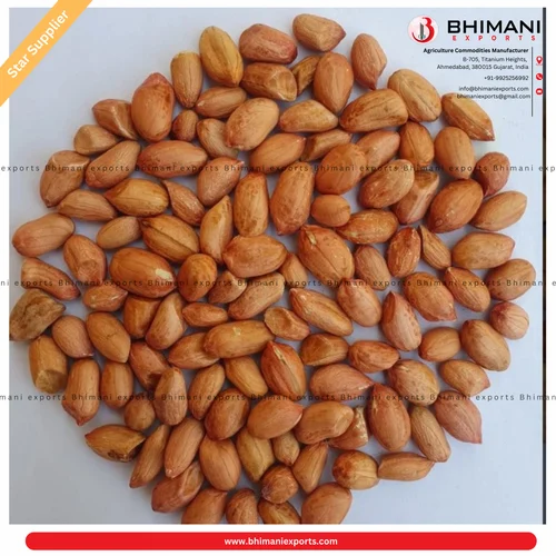 Type: Whole With Skin Mjugu Nyasa Seeds, Packaging Size: 25 Kg