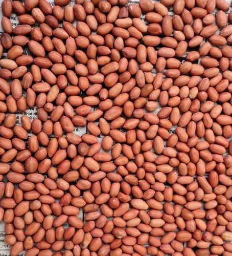 Jumbo peanuts for sale, Packaging Size: 40 kg Jute Bags