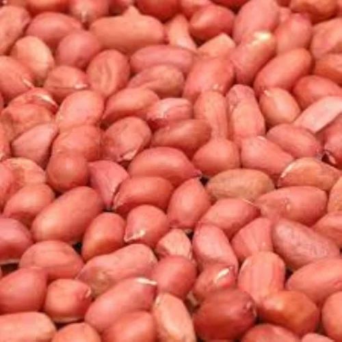 Redskin Peanuts, 38-42