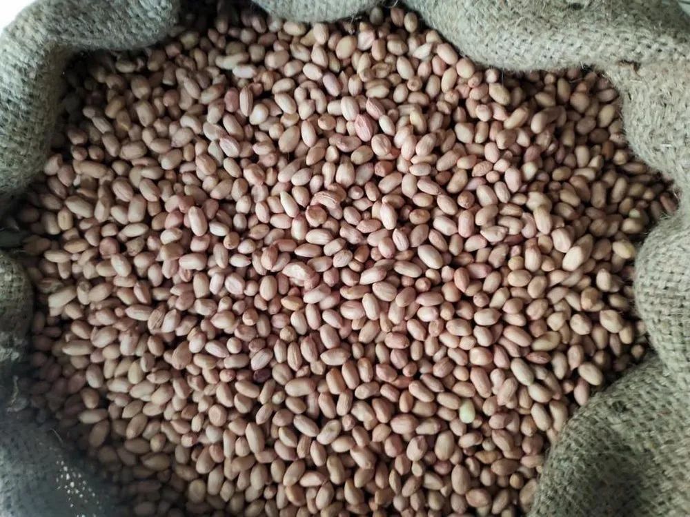 Raw Red Skin Peanut