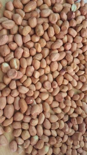Whole With Skin Loose Red Peanut Kernel