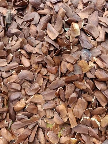 African Mahogany Seed, Loose