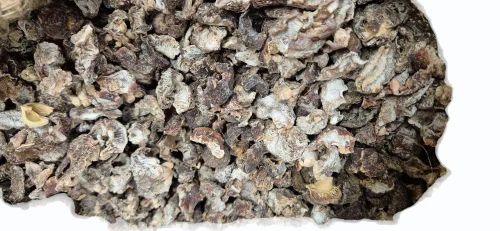 Dried Amla Fruit