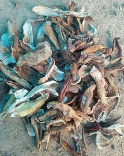 Amchur Dry Mango Slices, Packaging Size: 30kg, Packaging Type: Bag