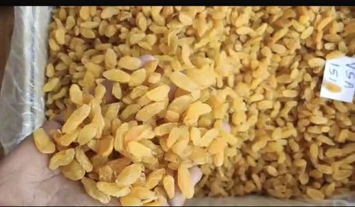 Golden Long Raisins