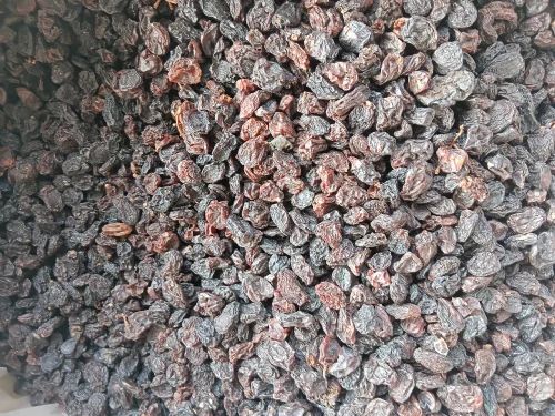 Organic Black Raisin Kismis Dry Grapes