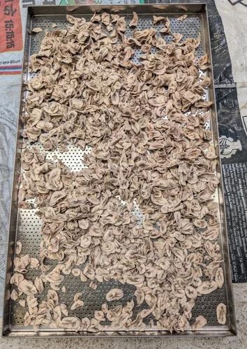 Dehydrated Banana Flakes G9