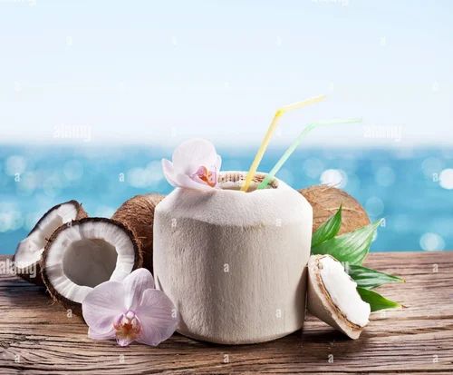1kg Tender Coconut Spray Dried Fruit Powder