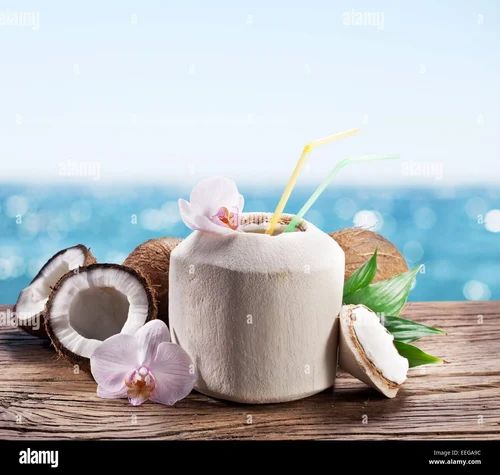 100g Coconut Spray Dried Fruit Powder (High Fat)