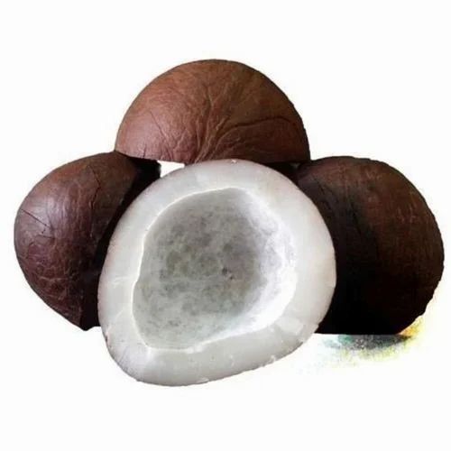 Spray Dried Coconut Powder