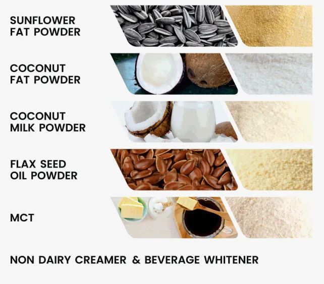 Spray Dried Fat Powder