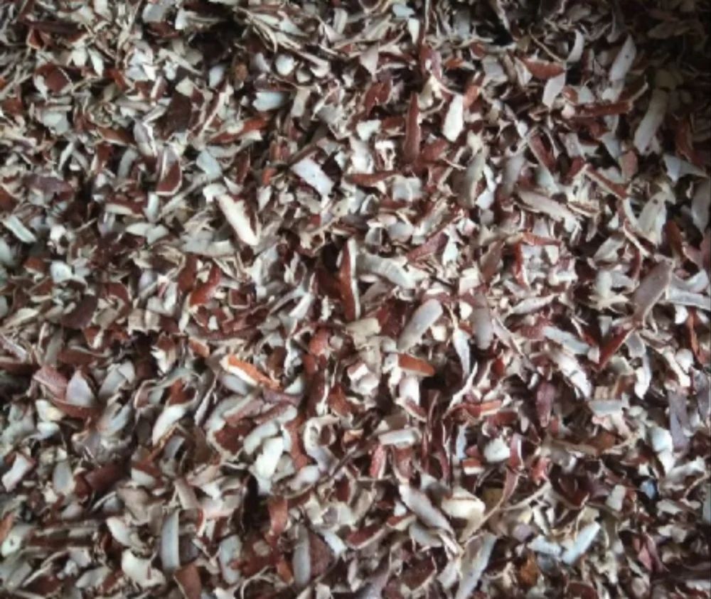 Coconut Peelings