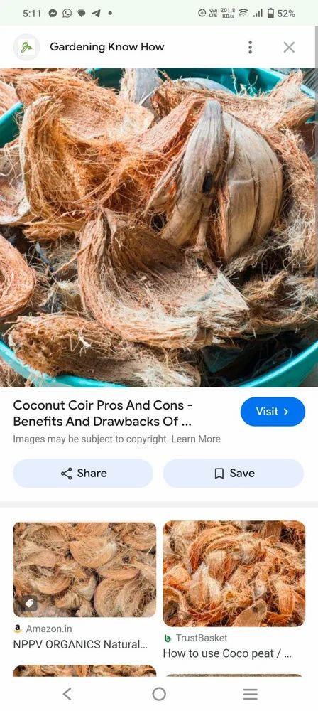 Coconut Ke Chilke