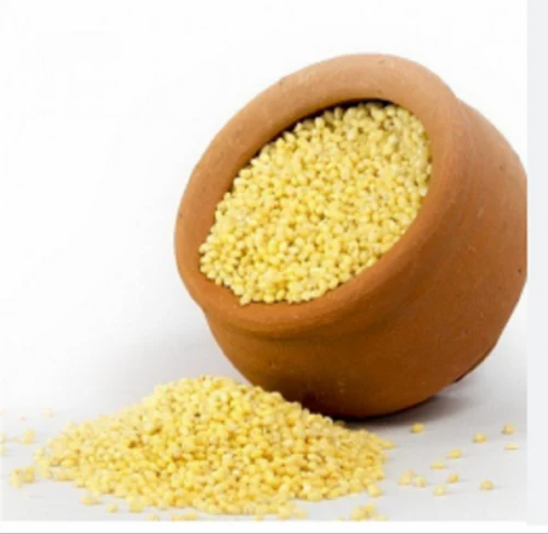 Organic Proso Millet, Gluten Free