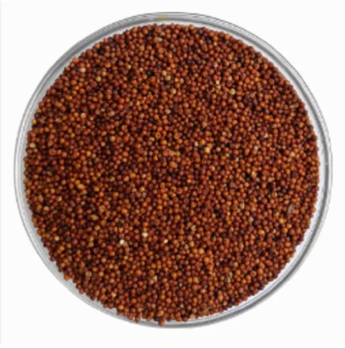 Organic Ragi Seeds, Gluten Free