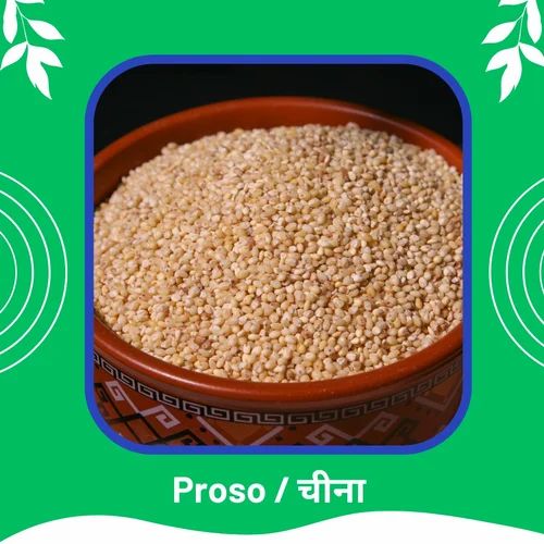 Indian Organic Proso Millet, For Nutrition Rich Food Grains