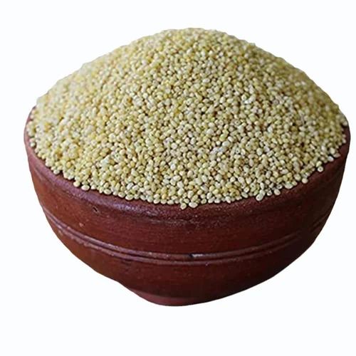 Organic Little Millet