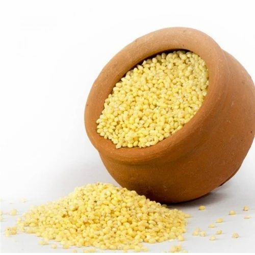 Organic Proso Millet