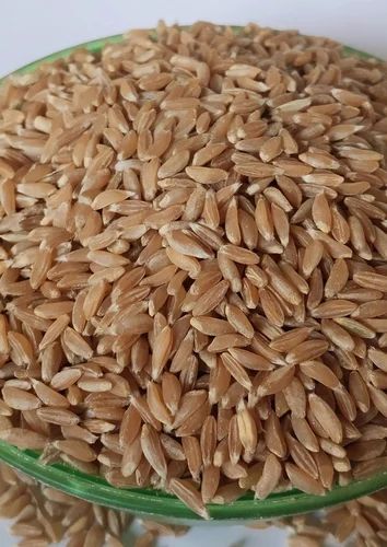 Organic Wheat