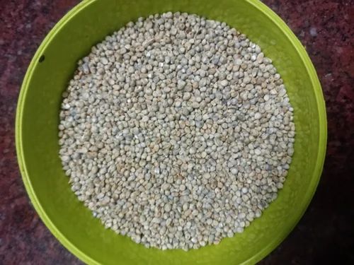 Organic Pearl Millet