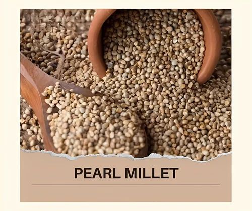 Abuwin Organic Pearl Millet