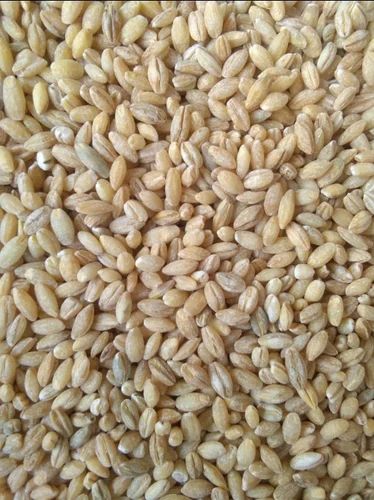 Loose Organic Pearl Barley